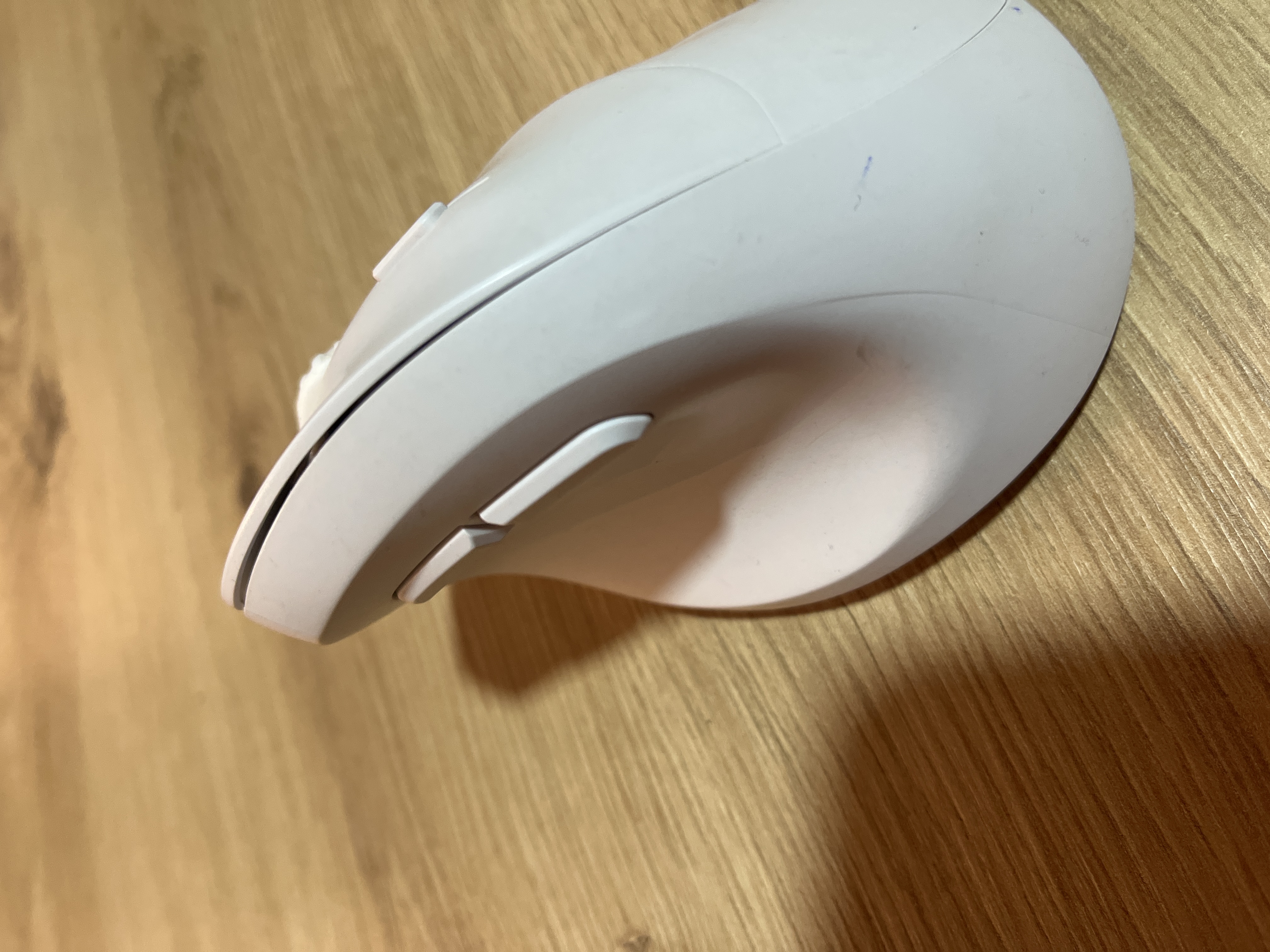 mouse